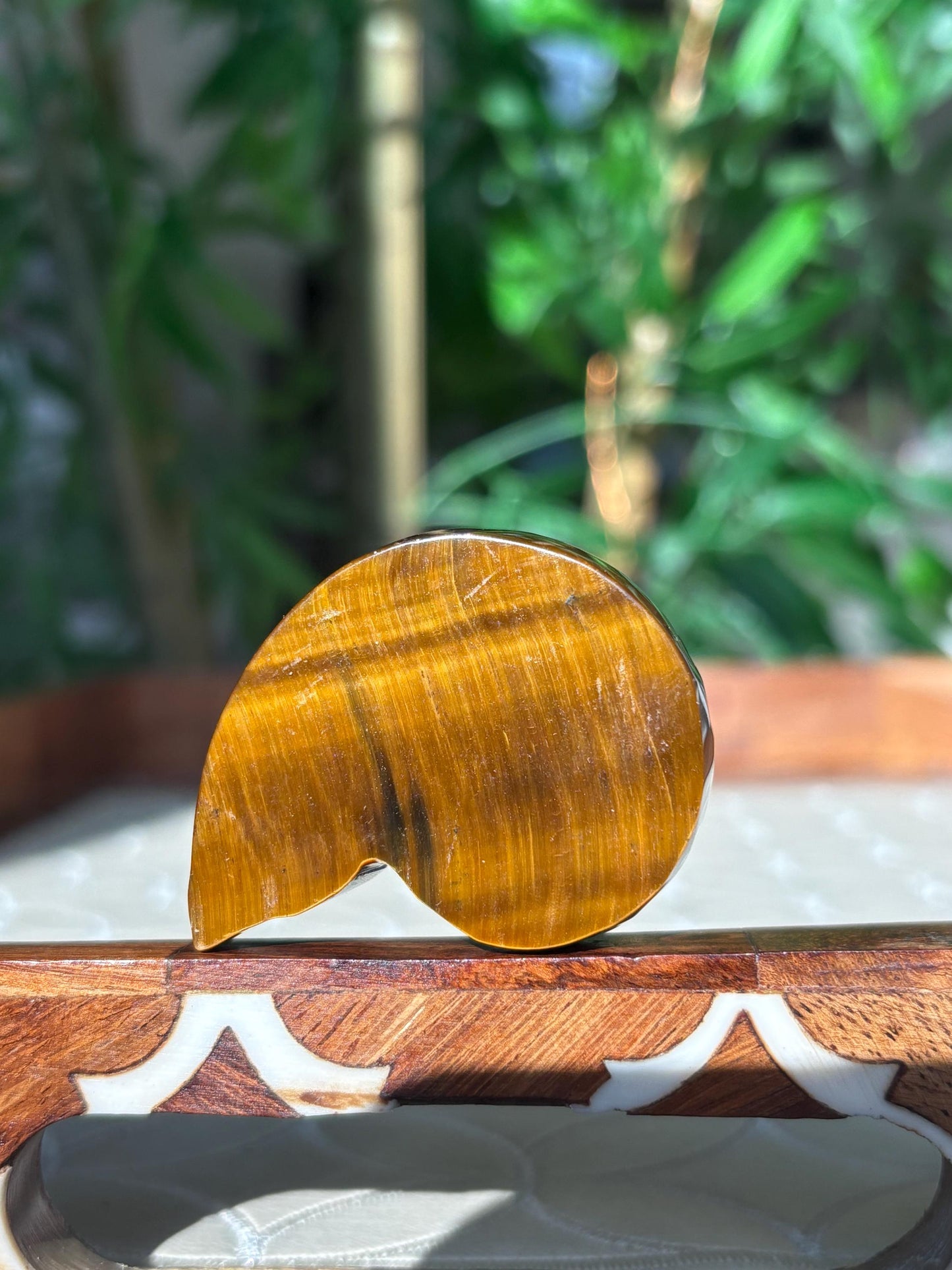 Tiger Eye Shell Carving ; 1.88 inches