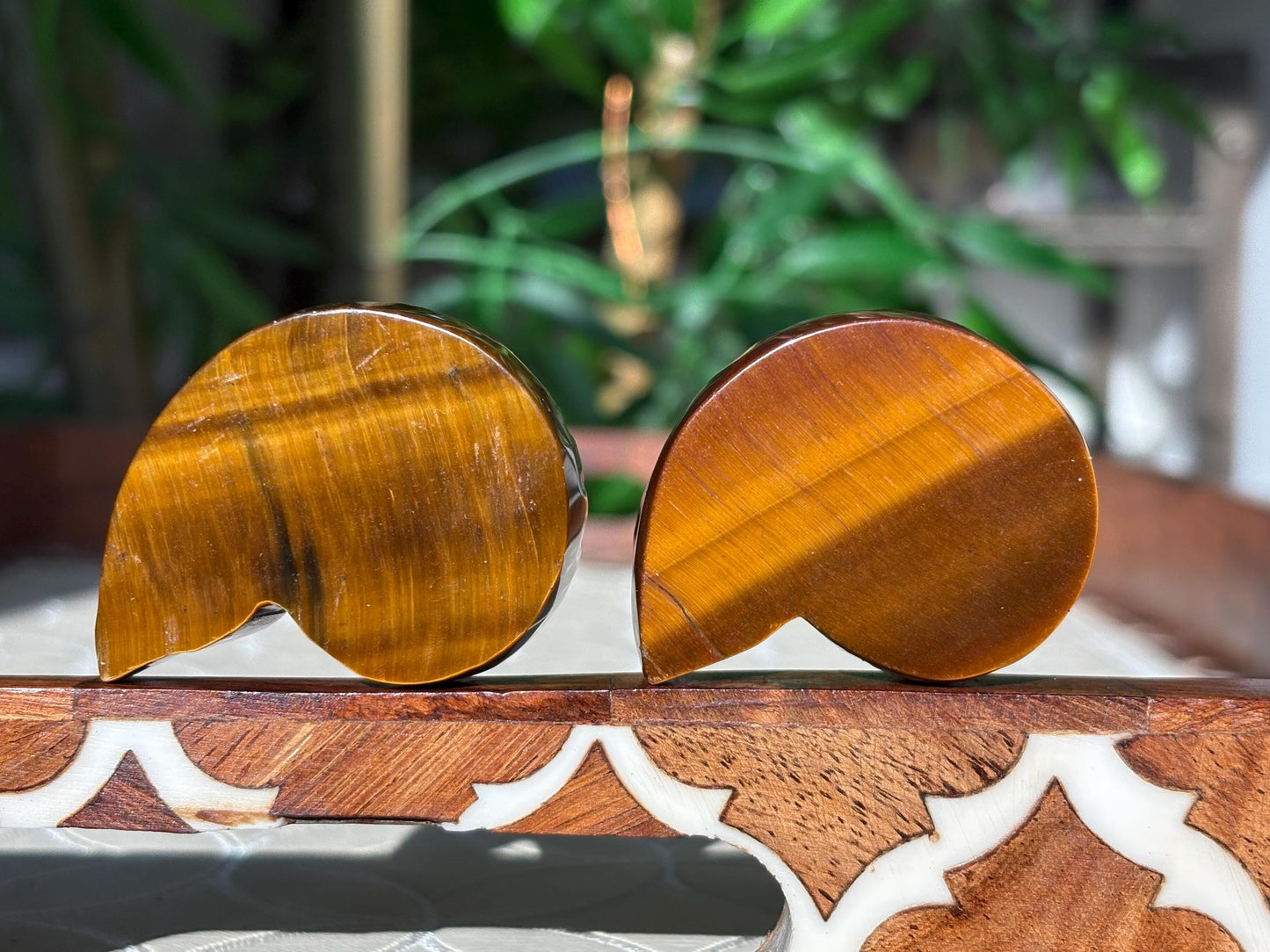 Tiger Eye Shell Carving ; 1.88 inches