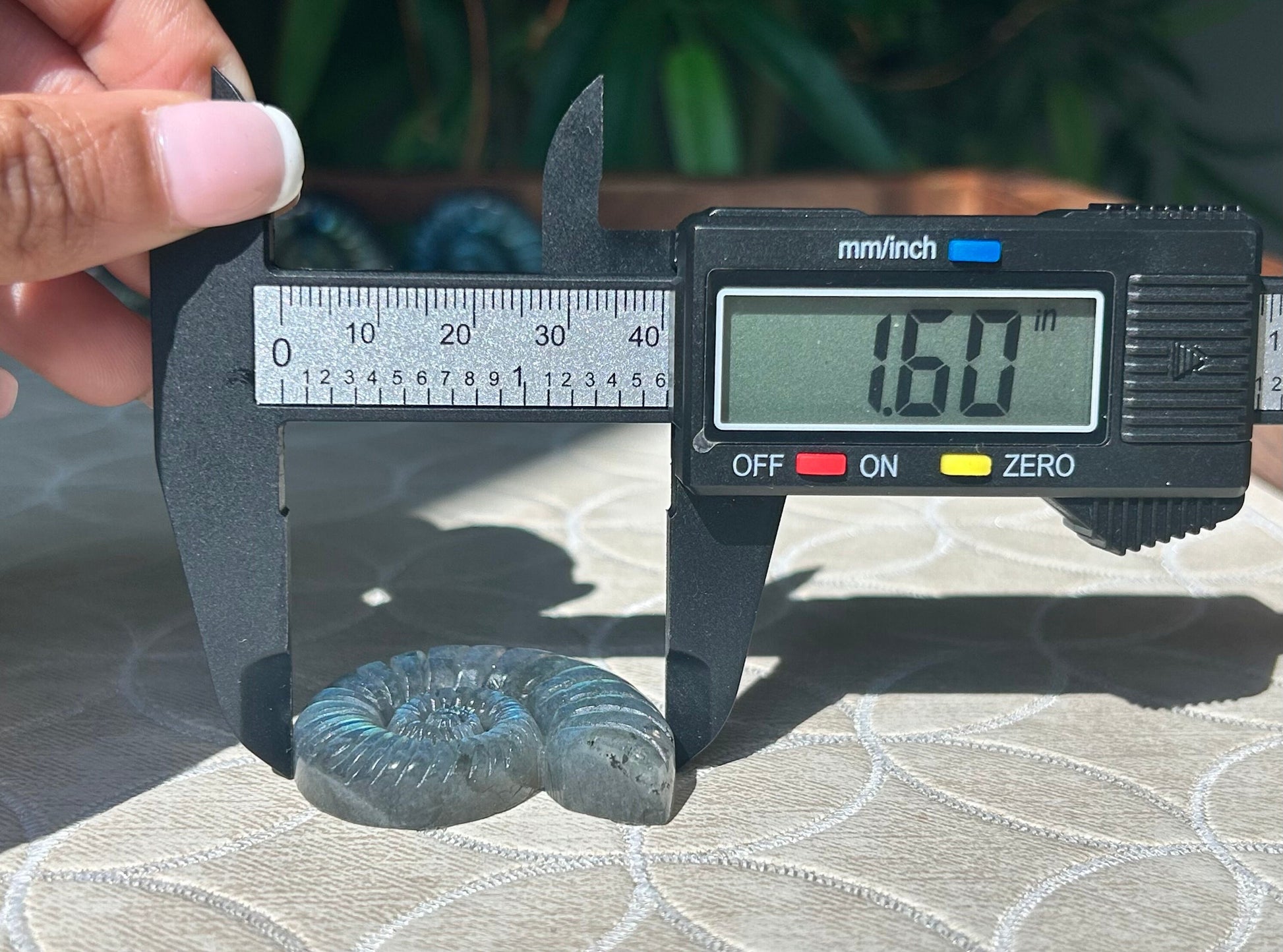 Super Flashy Labradorite Shells; Crystal Carvings