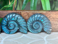 Super Flashy Labradorite Shells; Crystal Carvings