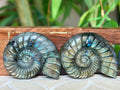Super Flashy Labradorite Shells; Crystal Carvings