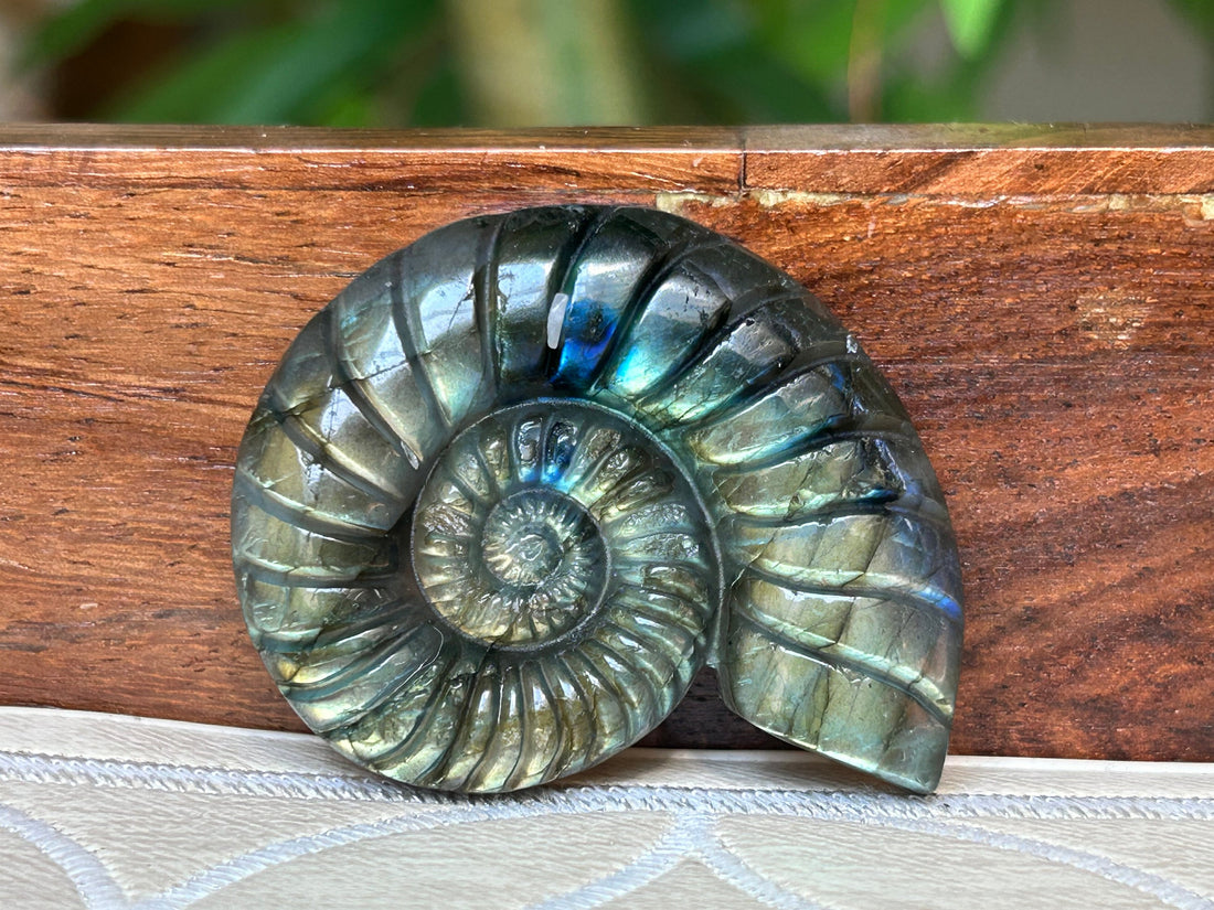 Super Flashy Labradorite Shells; Crystal Carvings