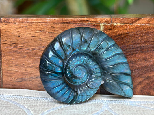 Super Flashy Labradorite Shells; Crystal Carvings