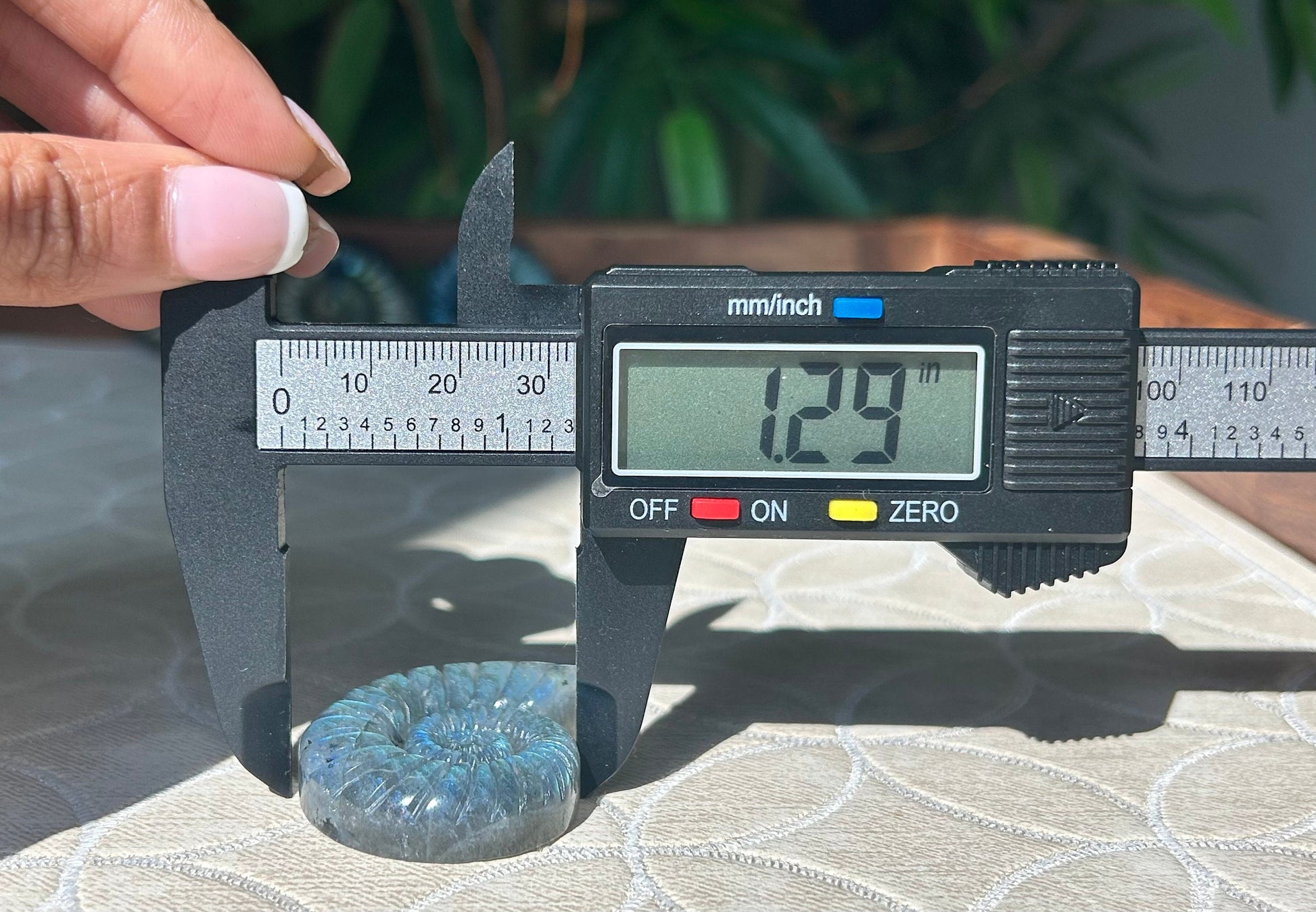 Super Flashy Labradorite Shells; Crystal Carvings