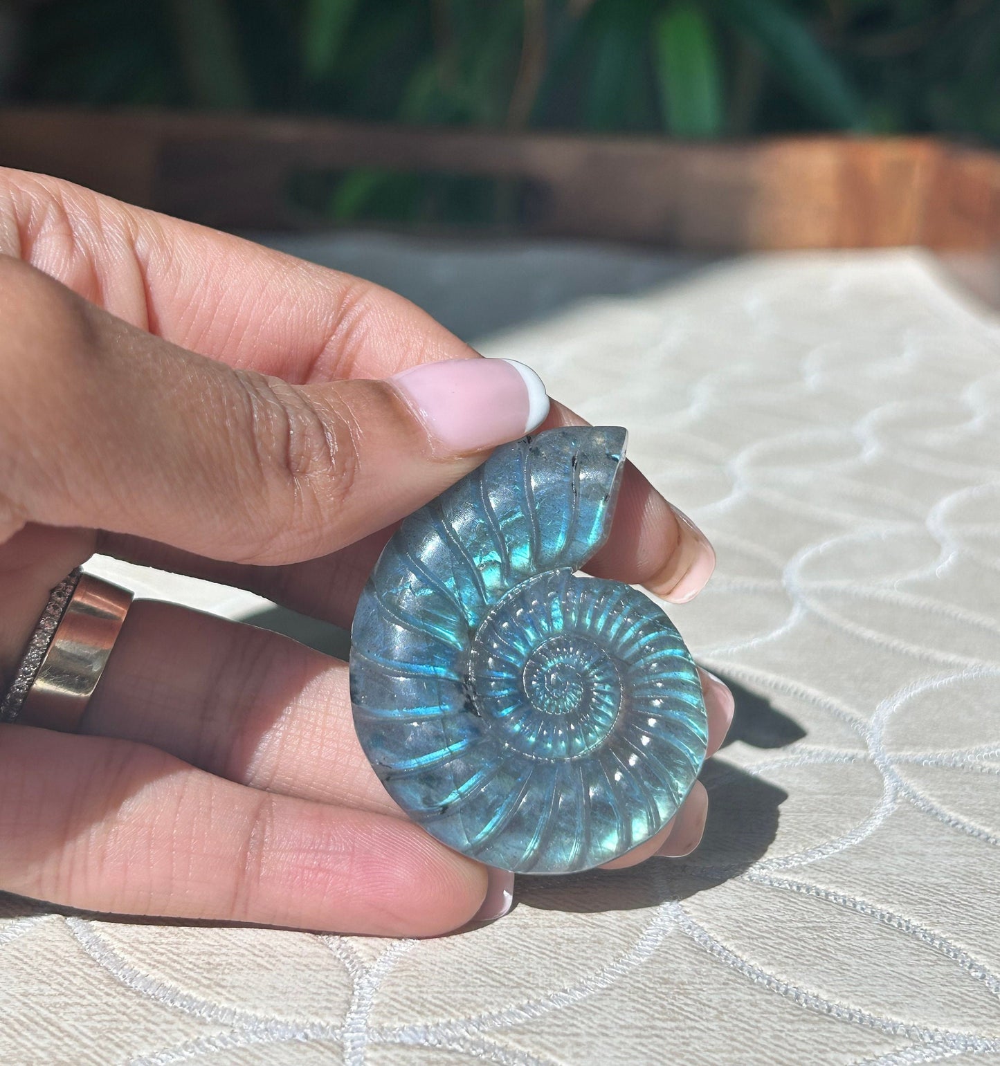 Super Flashy Labradorite Shells; Crystal Carvings