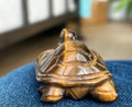 Tiger Eye Crystal Turtle Carving (1.92 inches)