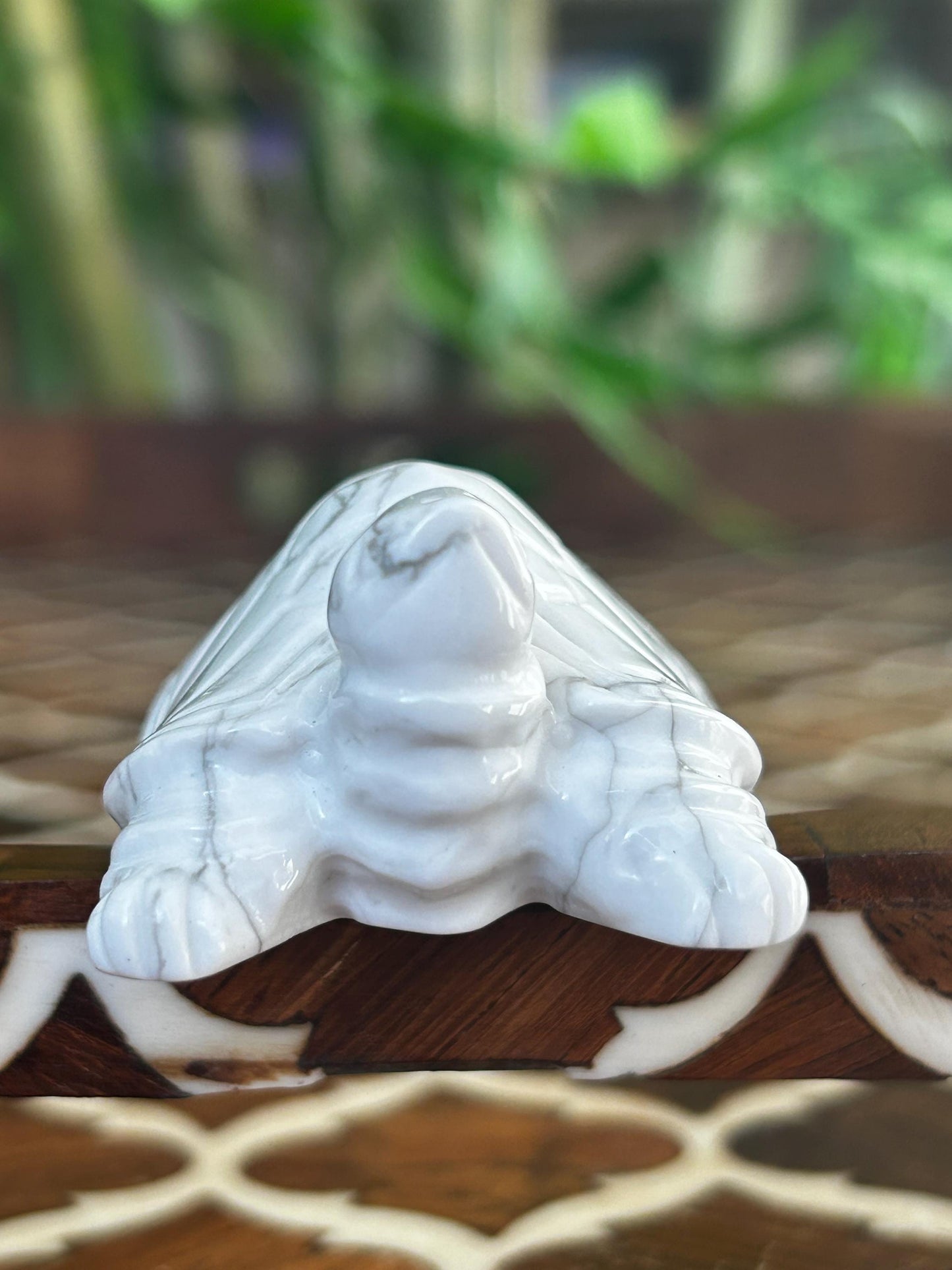 Howlite Crystal Turtle Carving: Healing Stone (1.92 Inches)