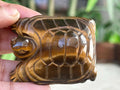 Tiger Eye Crystal Turtle Carving (1.92 inches)