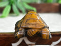 Tiger Eye Crystal Turtle Carving (1.92 inches)