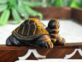 Tiger Eye Crystal Turtle Carving (1.92 inches)