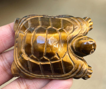 Tiger Eye Crystal Turtle Carving (1.92 inches)