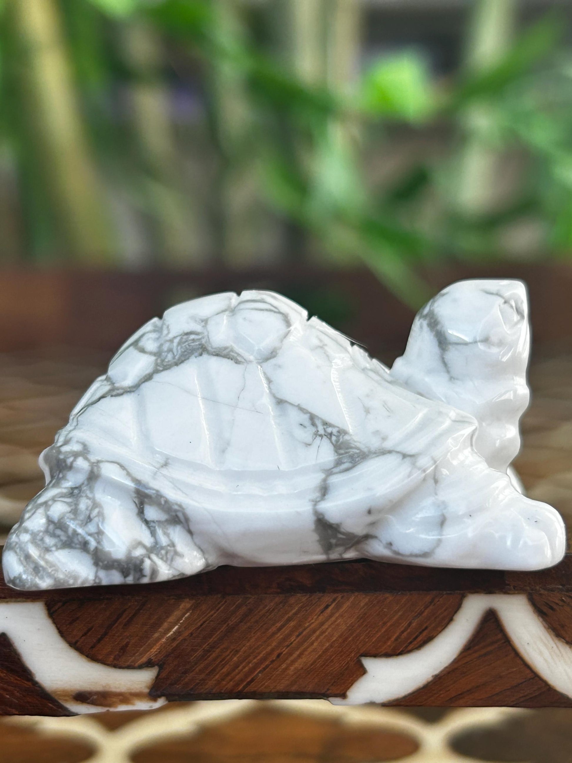Howlite Crystal Turtle Carving: Healing Stone (1.92 Inches)