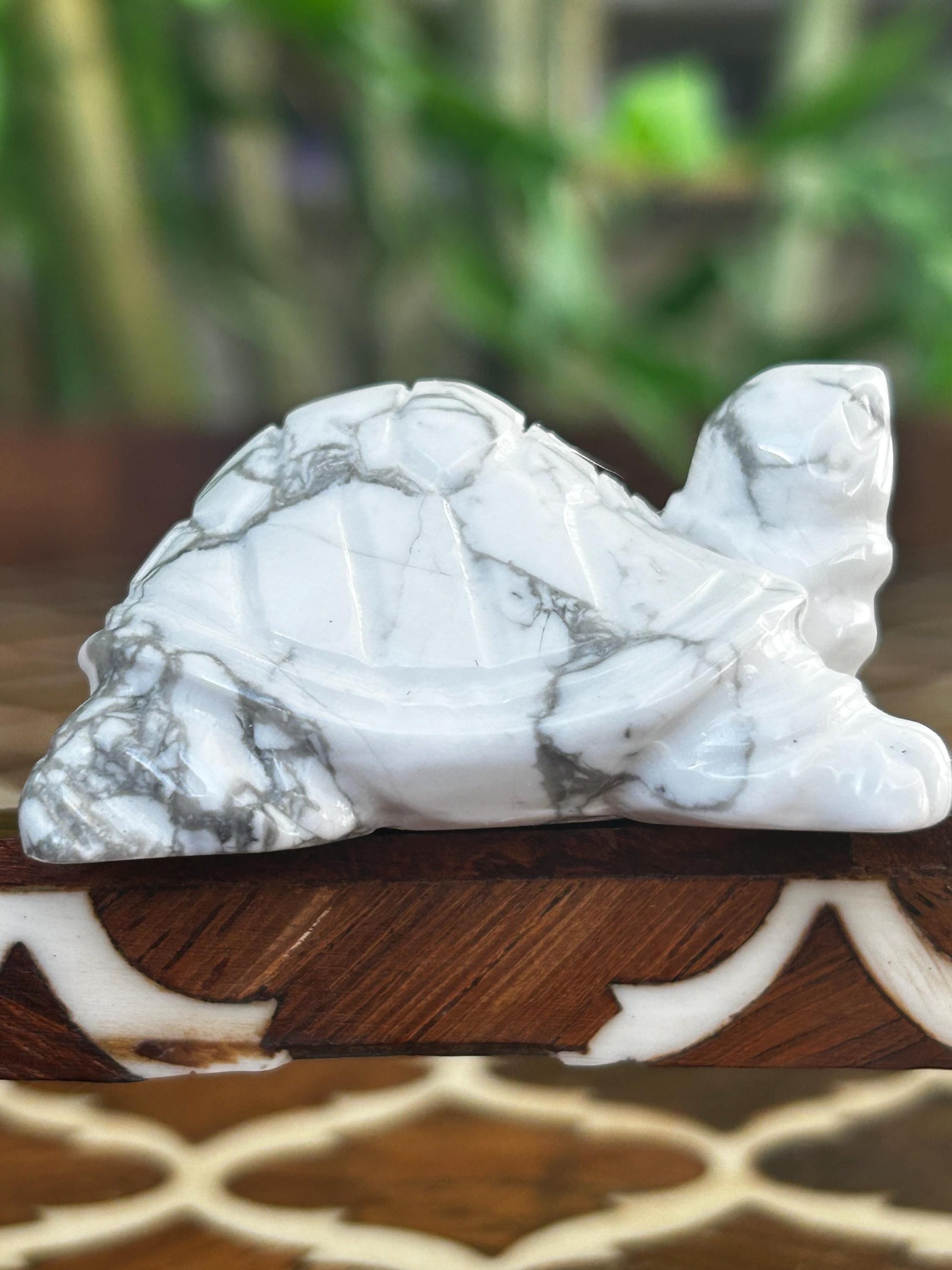 Howlite Crystal Turtle Carving: Healing Stone (1.92 Inches)
