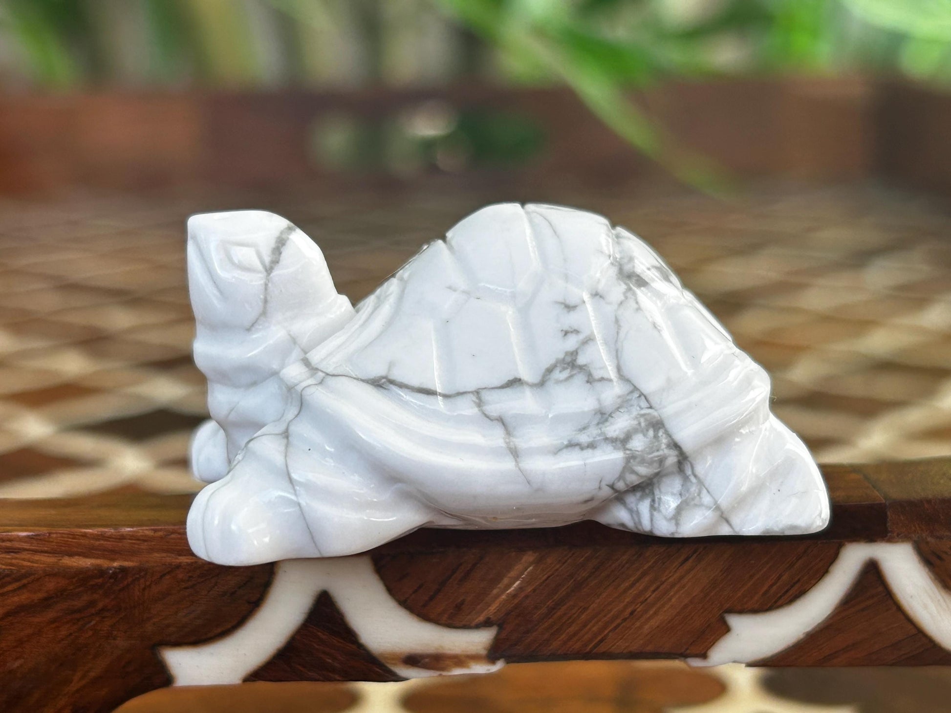 Howlite Crystal Turtle Carving: Healing Stone (1.92 Inches)