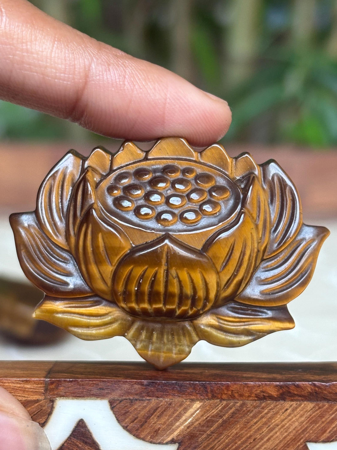 Tiger Eye Lotus Carving ; 1.90 inches