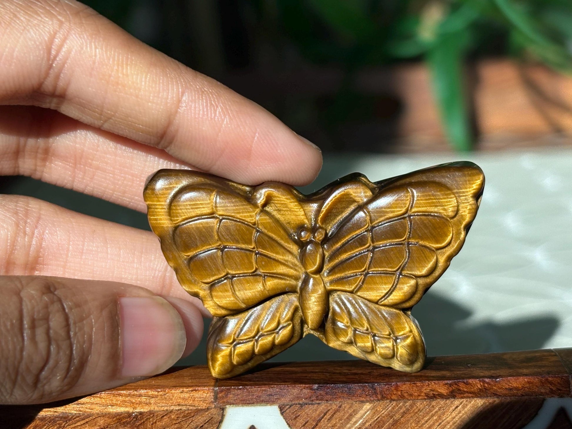 Tiger Eye Butterfly Carving; 1.93 inches