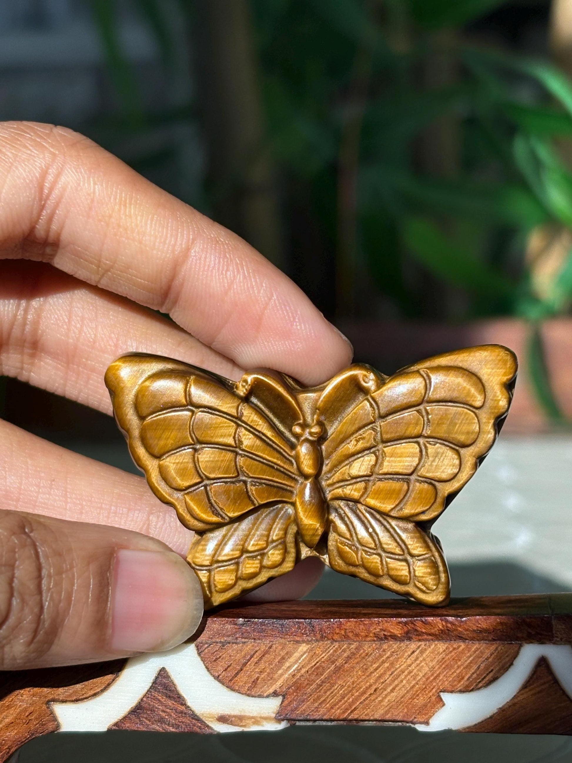 Tiger Eye Butterfly Carving; 1.93 inches