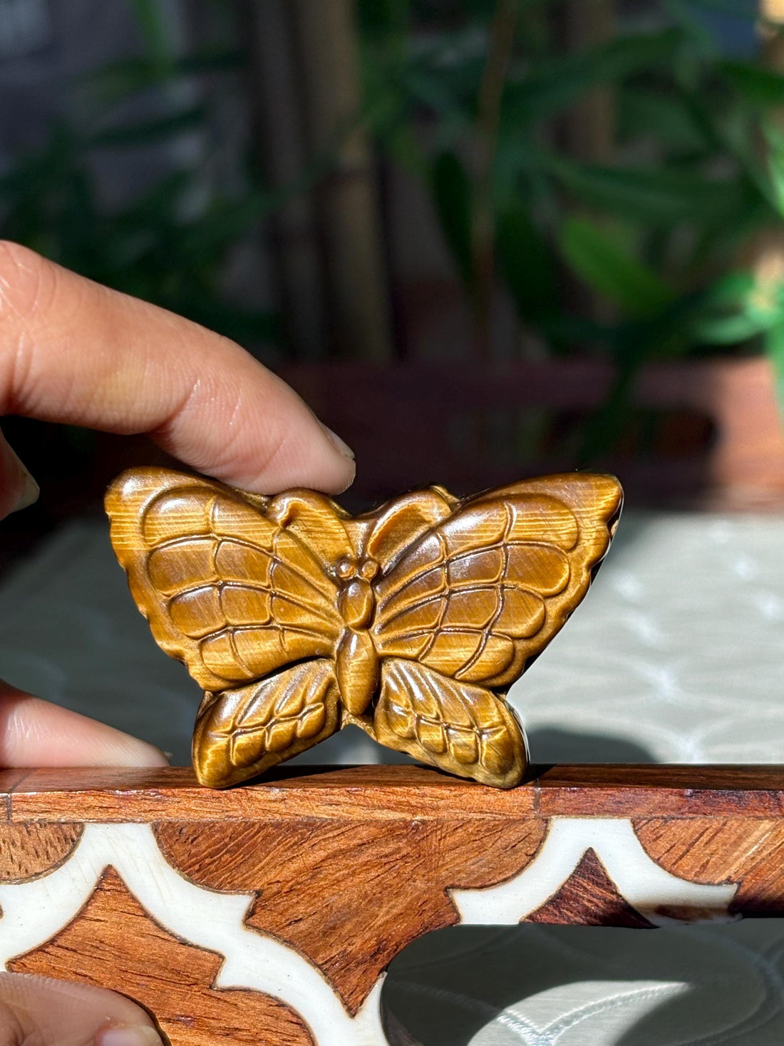 Tiger Eye Butterfly Carving; 1.93 inches