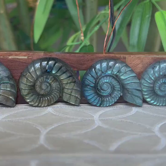 Super Flashy Labradorite Shells; Crystal Carvings