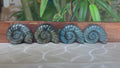 Super Flashy Labradorite Shells; Crystal Carvings