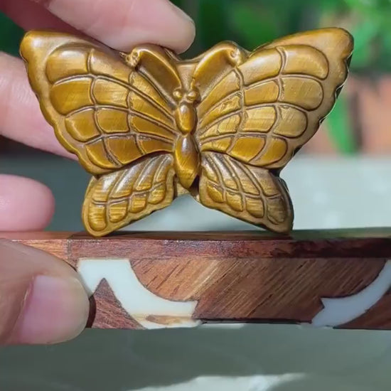 Tiger Eye Butterfly Carving; 1.93 inches