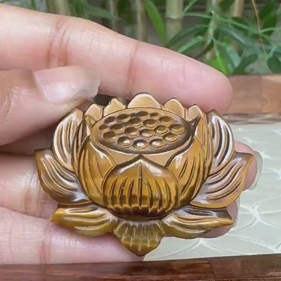 Tiger Eye Lotus Carving ; 1.90 inches