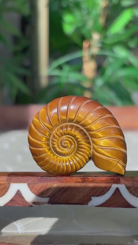 Tiger Eye Shell Carving ; 1.88 inches