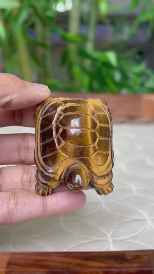 Tiger Eye Crystal Turtle Carving (1.92 inches)