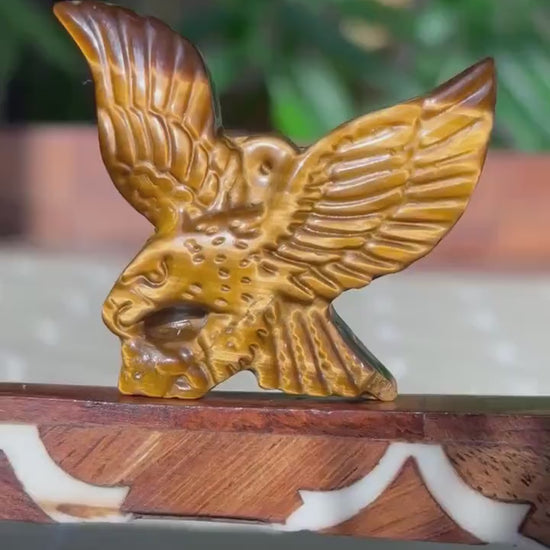 Tiger Eye Eagle Carving ; 1.88 inches