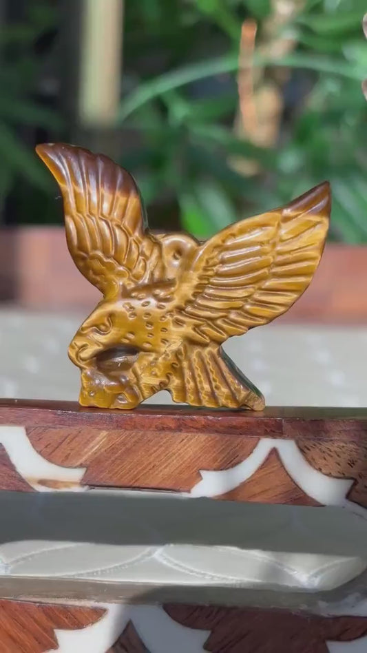 Tiger Eye Eagle Carving ; 1.88 inches