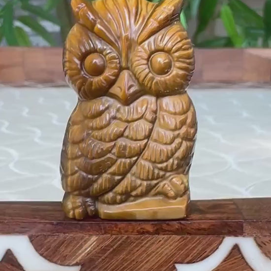 Tiger Eye Owl Carving ; 1.70 Inches